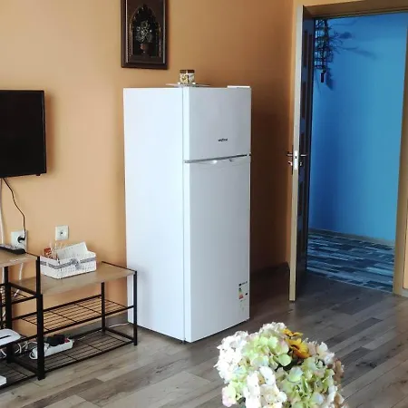 туида Apartment *