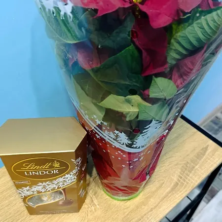 Апартаменты туида