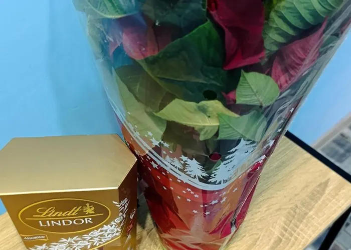 Lejlighed туида